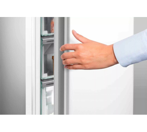 Морозильная камера Liebherr FNF4605