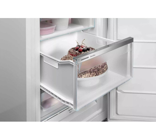 Морозильная камера Liebherr FNF4605