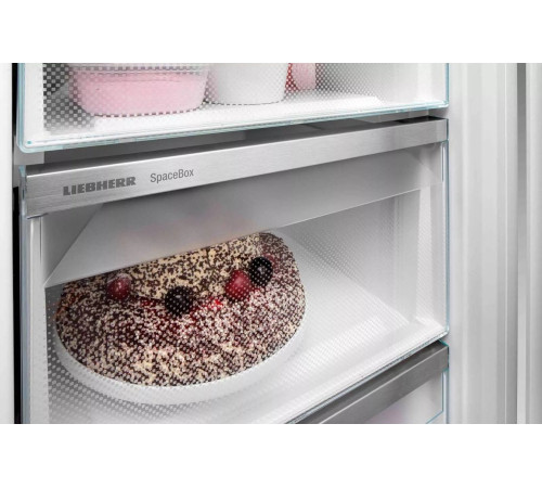 Морозильная камера Liebherr FNF4605