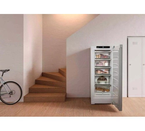 Морозильная камера Liebherr FNF4605