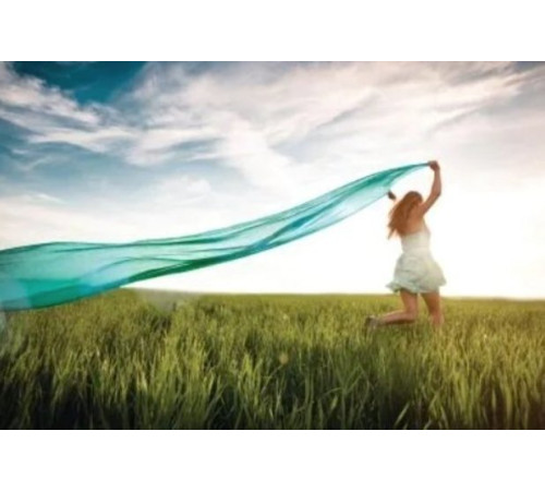 Сушильна машина Gorenje DNE82/GN