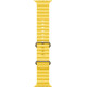 Смарт-часы Apple Watch Ultra GPS + Cellular 49mm Titanium Case with Yellow Ocean Band