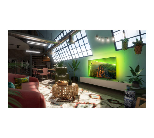 Телевізор Philips 43PUS8118/12