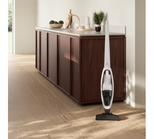 Акумуляторний пилосос Electrolux ES31CB18SH