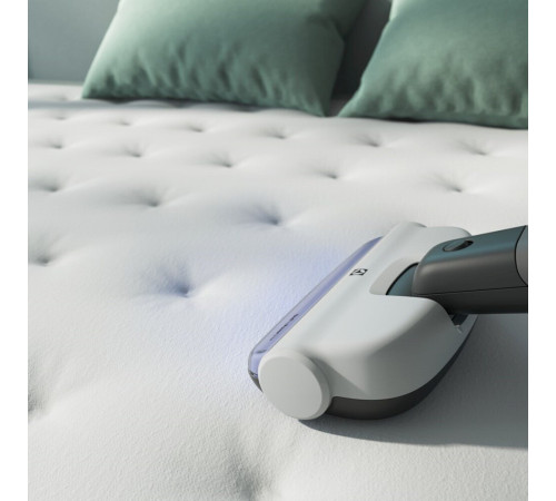 Акумуляторний пилосос Electrolux ES52HB25SH