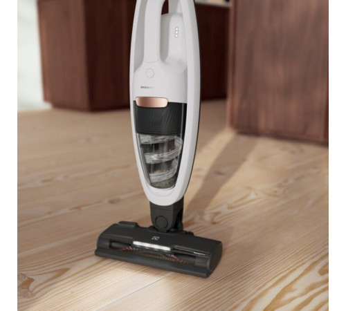 Акумуляторний пилосос Electrolux ES52HB25SH