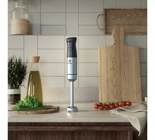 Блендер Electrolux E5HB1-6SS