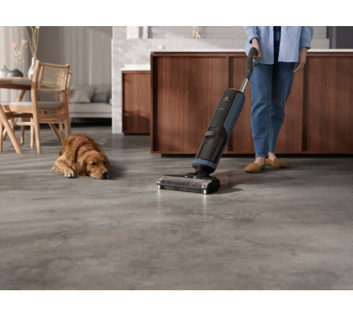 Акумуляторний пилосос Electrolux EW81U3DB