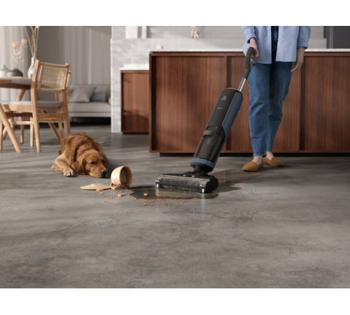 Акумуляторний пилосос Electrolux EW81U3DB