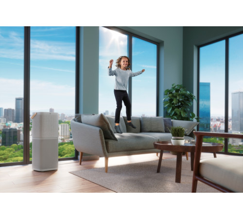 Очиститель воздуха Electrolux PA91-404GY