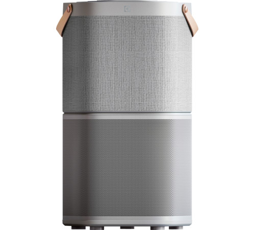 Очиститель воздуха Electrolux PA91-404GY