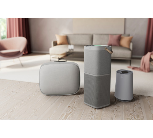 Очиститель воздуха Electrolux PA91-404GY