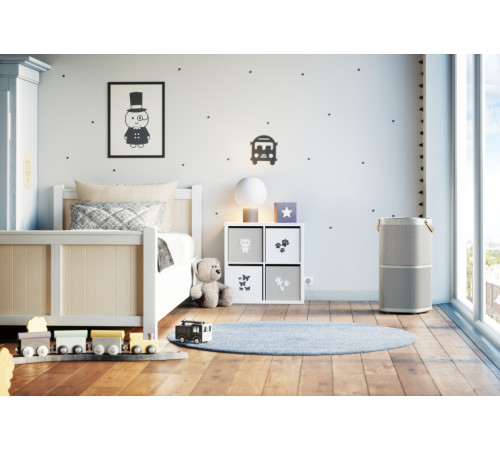 Очиститель воздуха Electrolux PA91-404GY