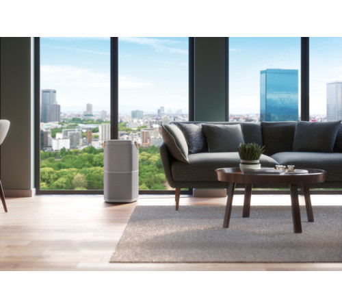 Очиститель воздуха Electrolux PA91-404GY