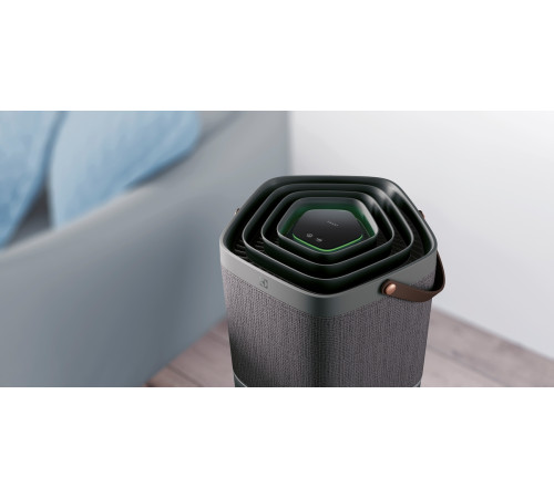 Очиститель воздуха Electrolux PA91-604DG