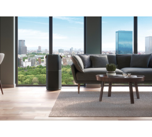 Очиститель воздуха Electrolux PA91-604DG