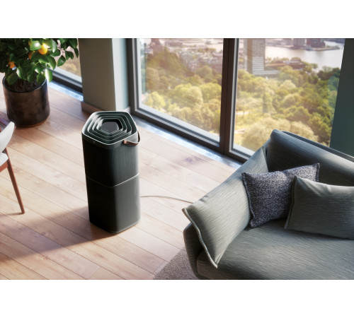 Очиститель воздуха Electrolux PA91-604DG