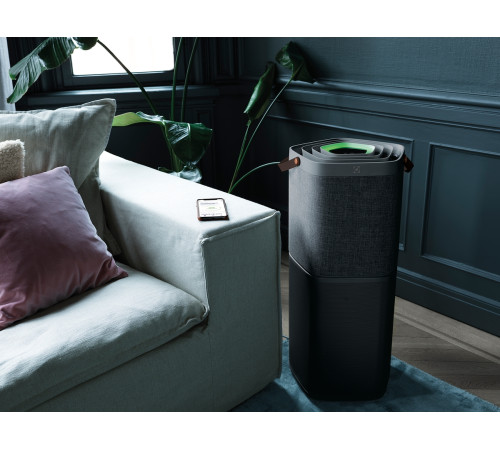 Очиститель воздуха Electrolux PA91-604DG