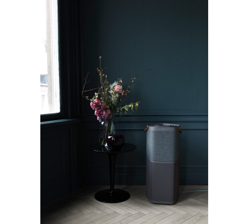 Очиститель воздуха Electrolux PA91-604DG