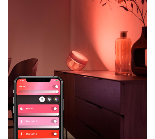 Розумний світильник Philips Hue Iris 2000K-6500K Color Bluetooth медная (929002376801)
