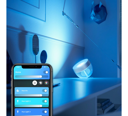 Розумний світильник Philips Hue Iris 2000K-6500K Color Bluetooth серебристая (929002376701)