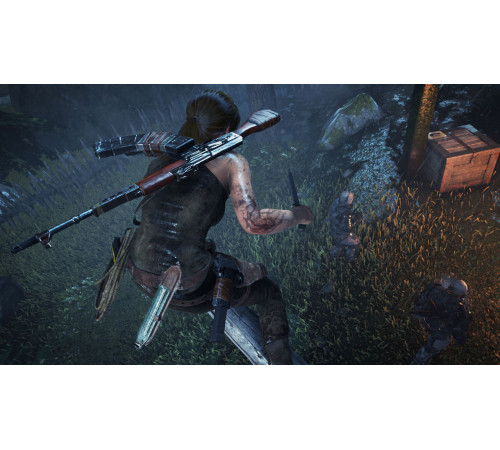 Гра консольна PS4 Rise of the Tomb Raider, BD диск