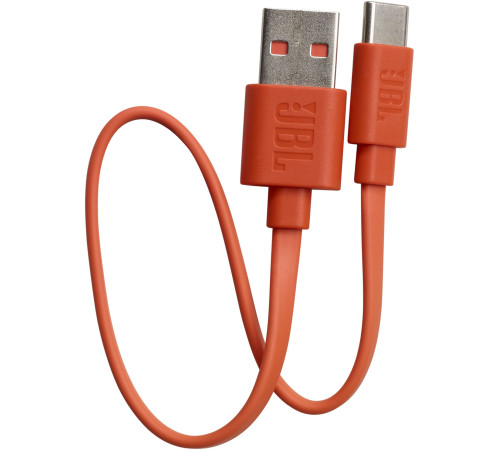 Наушники JBL Live Flex Black (JBLLIVEFLEXBLK)