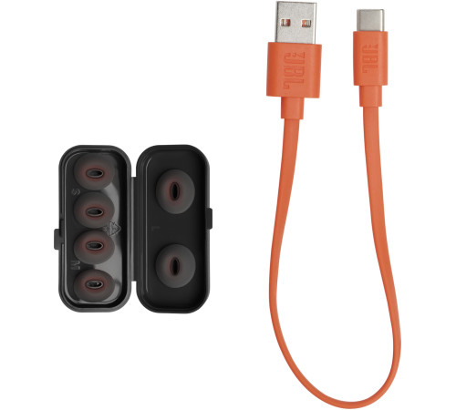 Наушники JBL Tune Flex Black (JBLTFLEXBLK)