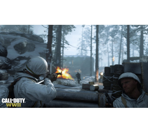 Гра консольна PS4 Call of Duty WWII, BD диск