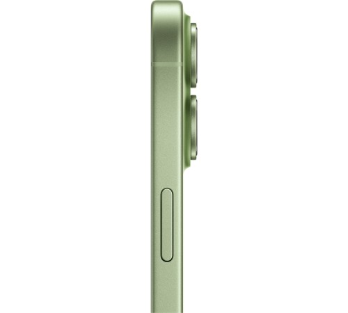 Смартфон Apple iPhone 17 256GB eSim Sage (MG4A4)