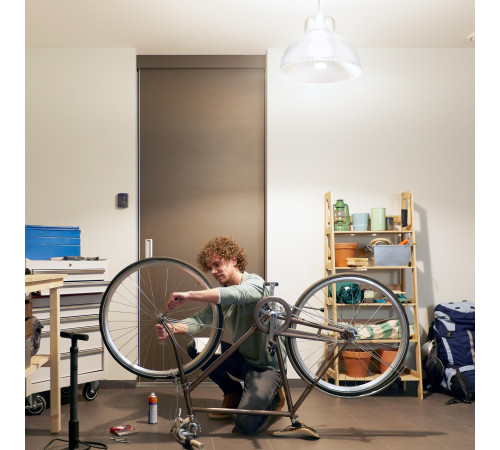 Світлодіодна лампа LED Philips Hue E27 15.5W(100W) 2700K White Bluetooth Dimm (929002334903)