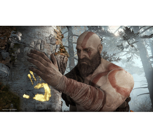 Гра консольна PS4 God of War (PlayStation Hits), BD диск