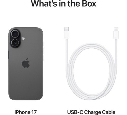 Смартфон Apple iPhone 17 256GB Black (MG6J4)