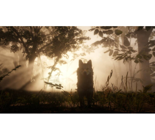 Гра консольна PS4 Red Dead Redemption 2, BD диск