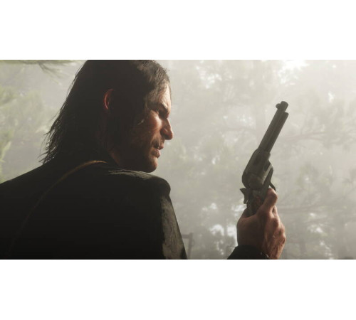 Гра консольна PS4 Red Dead Redemption 2, BD диск