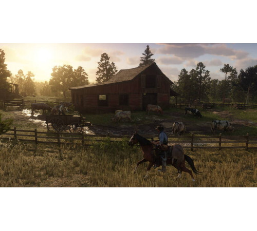 Гра консольна PS4 Red Dead Redemption 2, BD диск