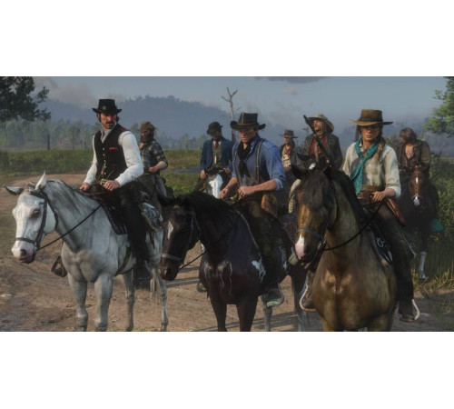 Гра консольна PS4 Red Dead Redemption 2, BD диск