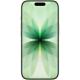 Смартфон Apple iPhone 17 512GB Sage (MG6V4)