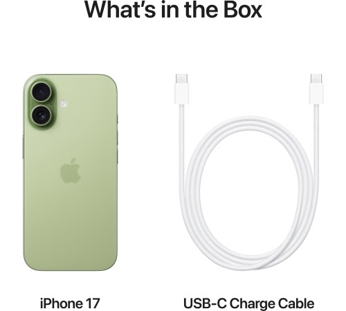 Смартфон Apple iPhone 17 256GB eSim Sage (MG4A4)