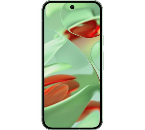 Смартфон Google Pixel 9 12/256GB Wintergreen
