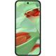 Смартфон Google Pixel 9 12/256GB Wintergreen