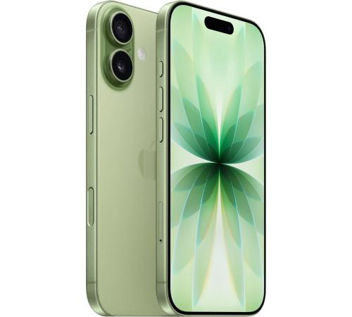 Смартфон Apple iPhone 17 512GB Sage (MG6V4)