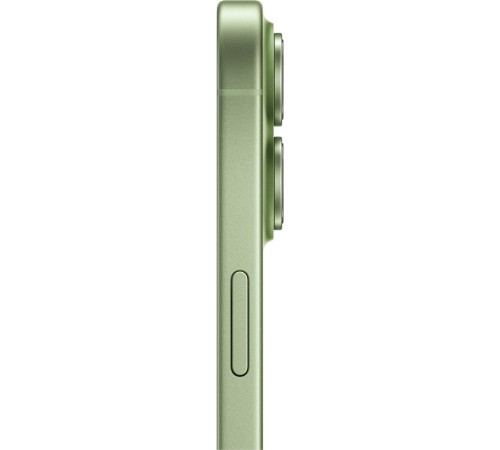Смартфон Apple iPhone 17 256GB Sage (MG6N4)
