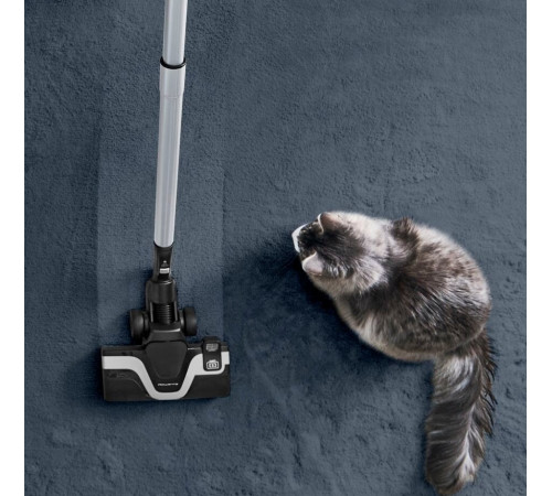 Пилосос Rowenta RO7961EA