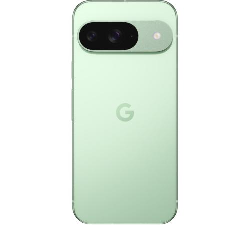 Смартфон Google Pixel 9 12/256GB Wintergreen